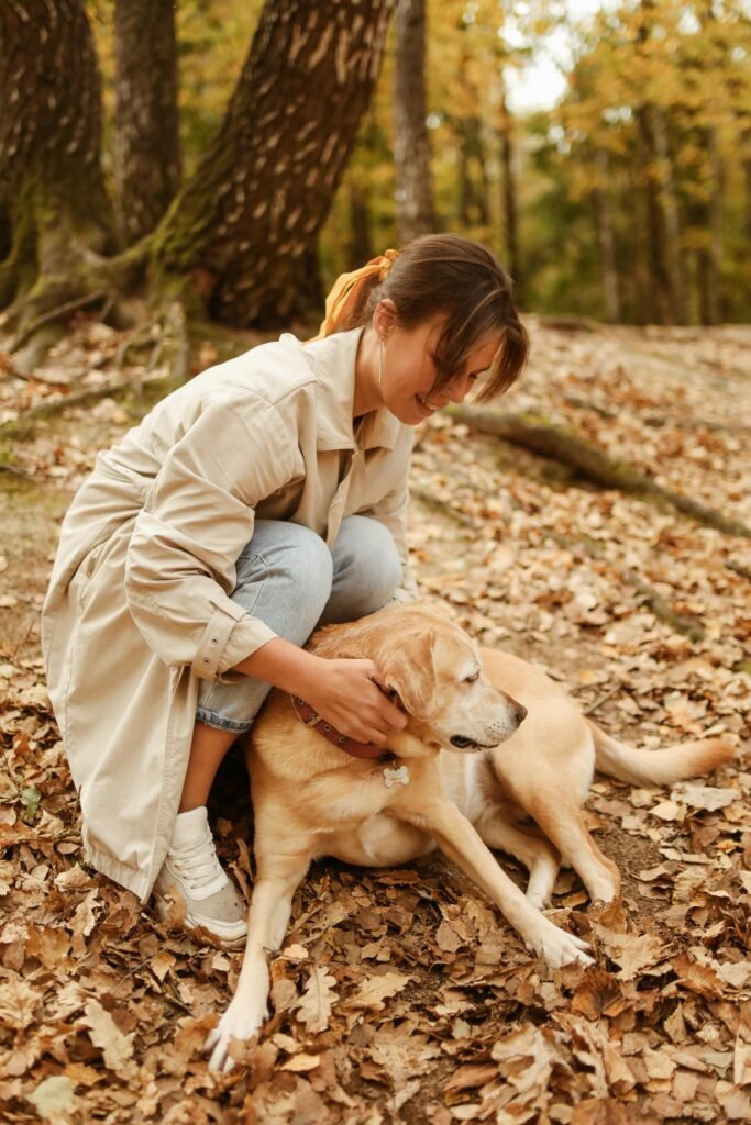 owner caring for senior large breed dog